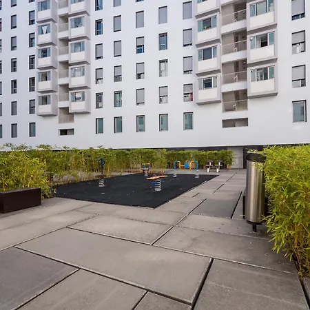 Flamingos - 81258al Lissabon