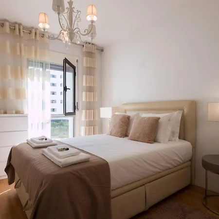 Flamingos - 81258al * Lisboa