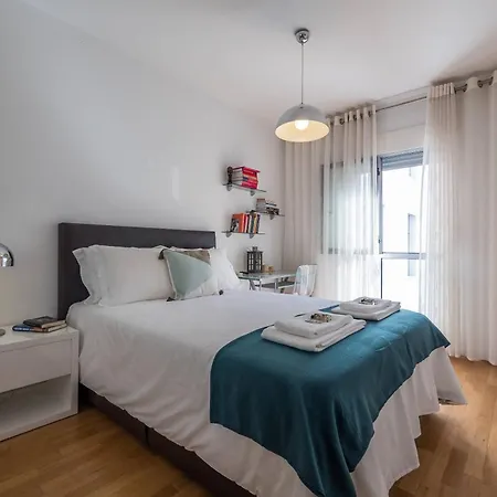 Flamingos - 81258al Lisboa