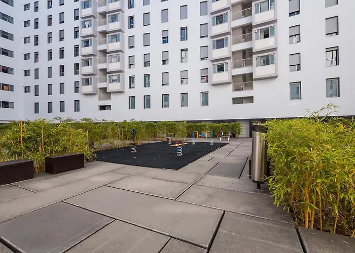 Flamingos - 81258al Lisbon