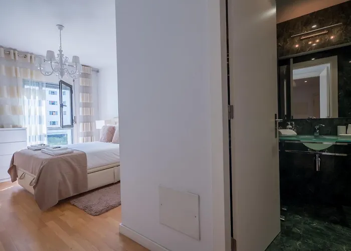 Flamingos - 81258al Lisbon