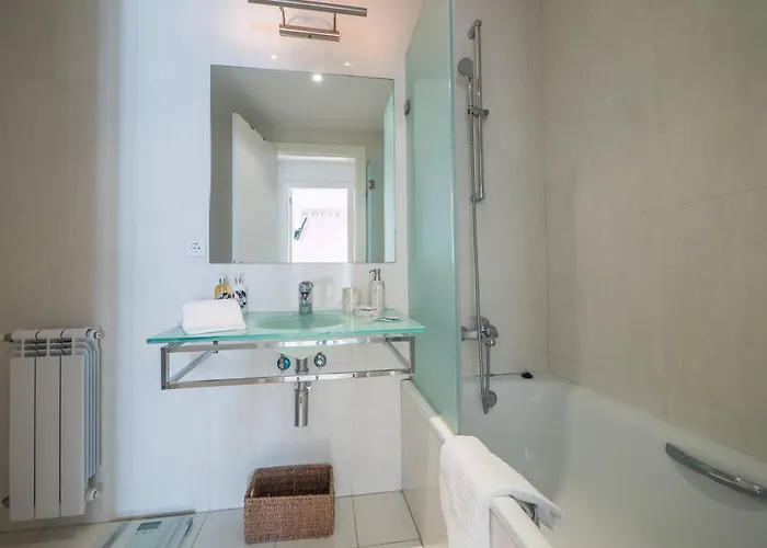 Flamingos - 81258al * Lisbon