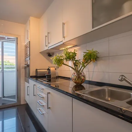 Flamingos - 81258al * リスボン